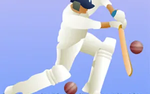 Little Master Cricket